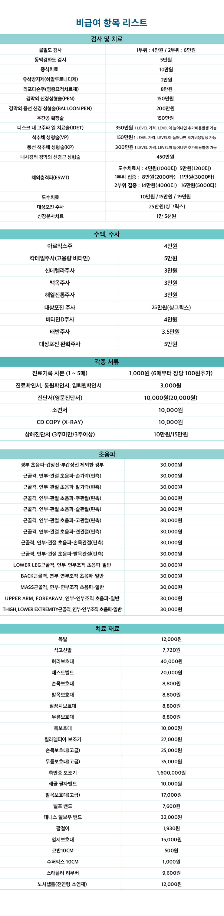 비급여항목