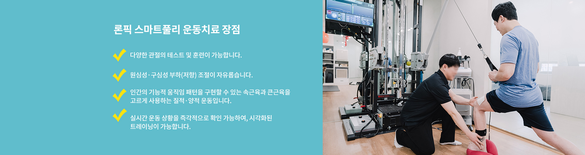 론픽 스마트풀리 운동치료