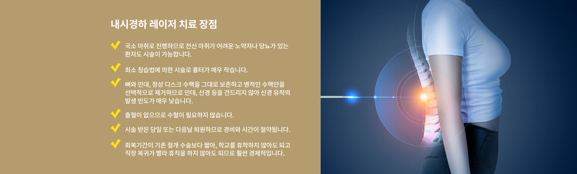 내시경하 레이저 치료
