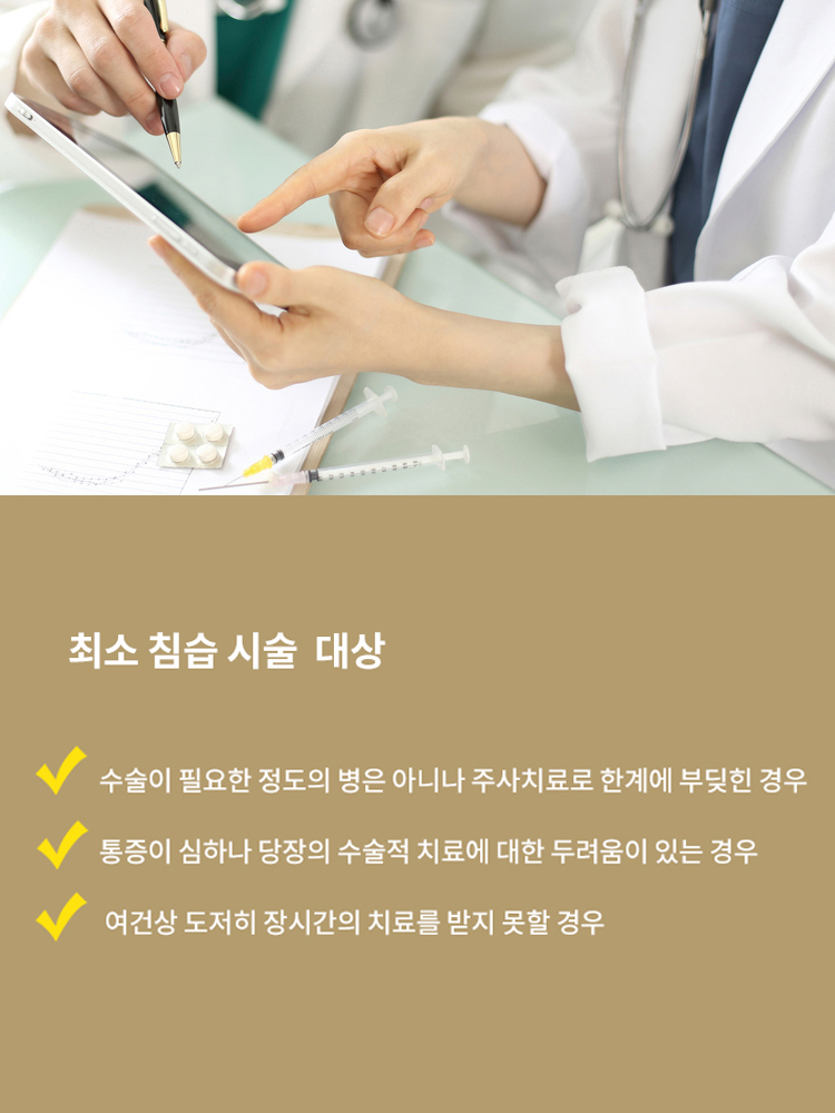 초음파 유도하 치료